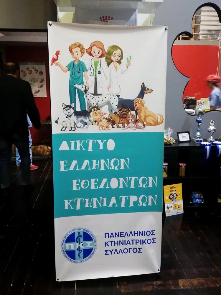 Μαζικές στειρώσεις αδέσποτων ζώων στο Δήμο Κοζάνης από το Δίκτυο Ελλήνων Εθελοντών Κτηνιάτρων 
