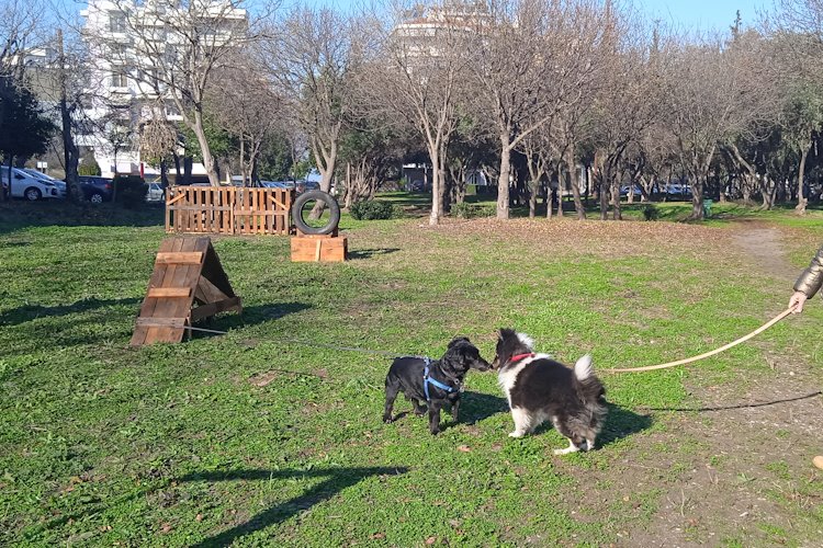 Το πρώτο πάρκο σκύλων στον Δήμο Καλαμαριάς