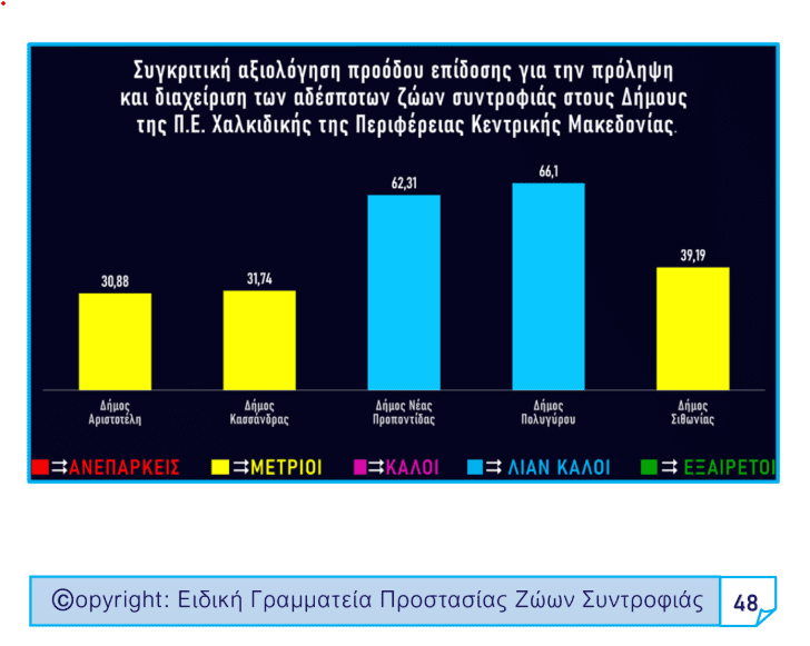 Αδέσποτα ζώα συντροφιάς: Πρωτιά για τον Δήμο Πολυγύρου στη διαχείρισή τους!