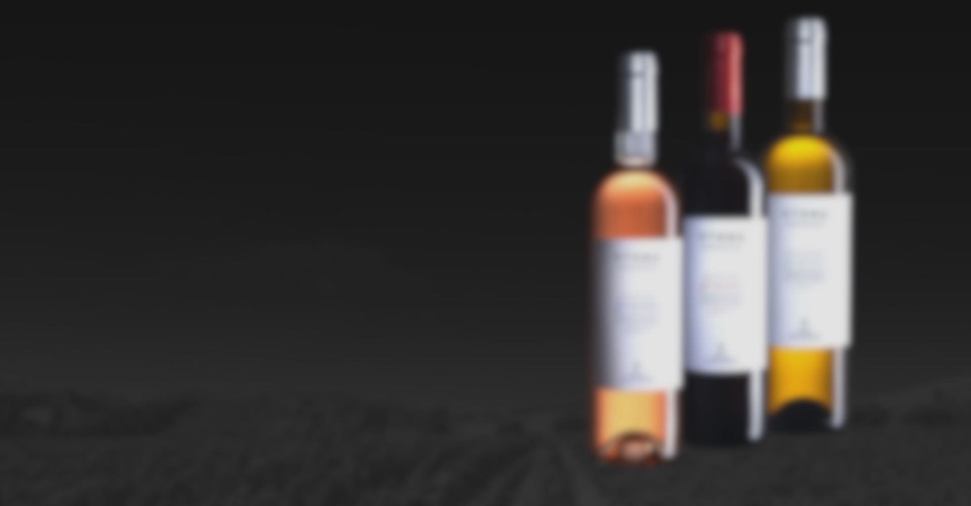 ΚΤΗΜΑ ΜΑΝΩΛΕΣΑΚΗ – ESTATE MANOLESAKIS