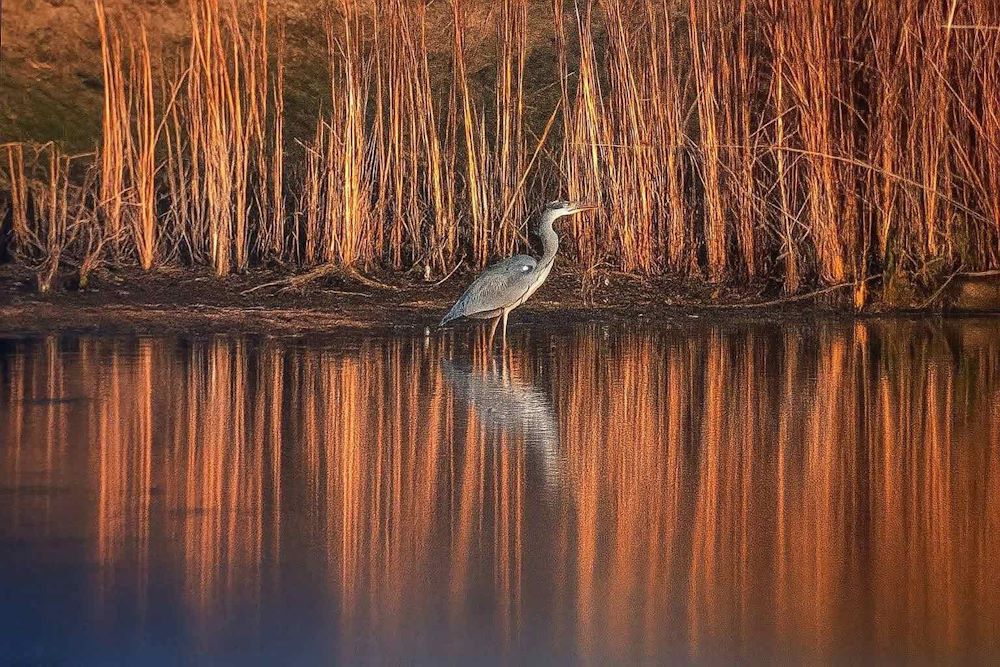 Φυσικές ομορφιές στον Δήμο Ελασσόνας