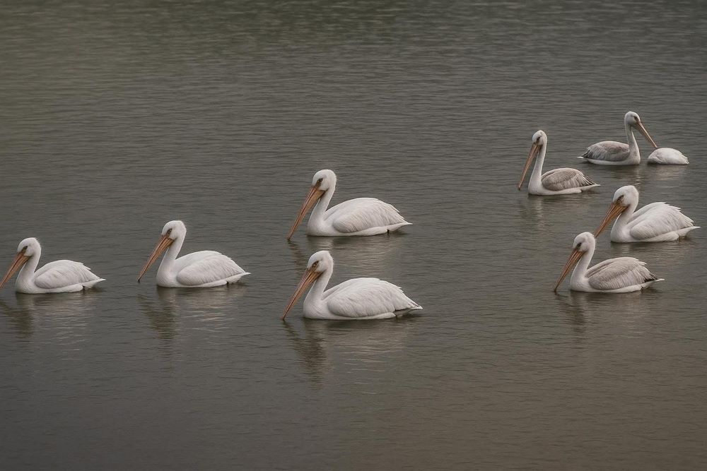 Εναλλακτικός τουρισμός στον Δήμο Ελασσόνας