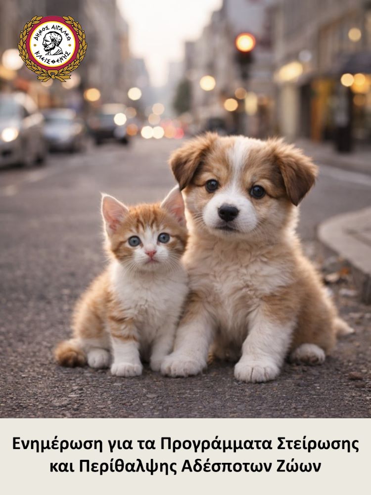 Αφίσα ενημέρωσης για την στείρωση και περίθαλψη αδέσποτων ζώων