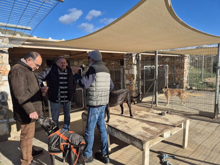 Φροντίδα αδέσποτων ζώων: Επίσκεψη της Δημοτικής Αρχής Πάρου στο PAWS Μαραθίου