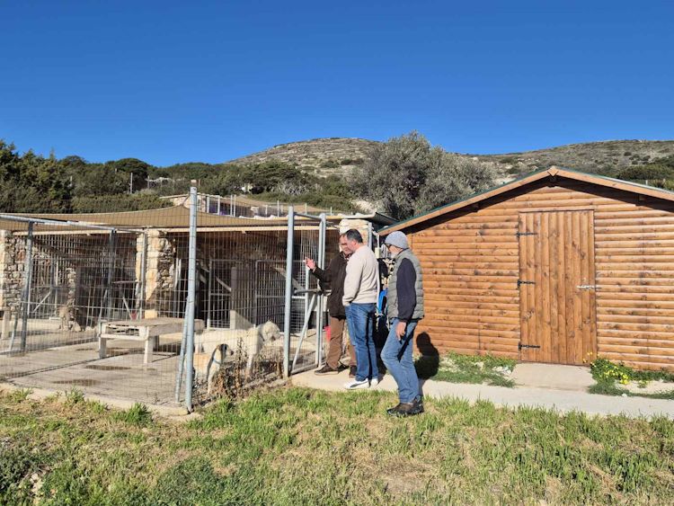 Εικόνες απο την επίσκεψη στο καταφύγιο PAWS για την ενίσχυση της φροντίδας αδέσποτων ζώων