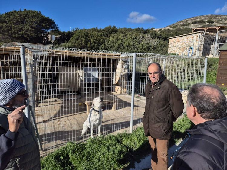 Εικόνες απο την επίσκεψη στο καταφύγιο PAWS για την ενίσχυση της φροντίδας αδέσποτων ζώων