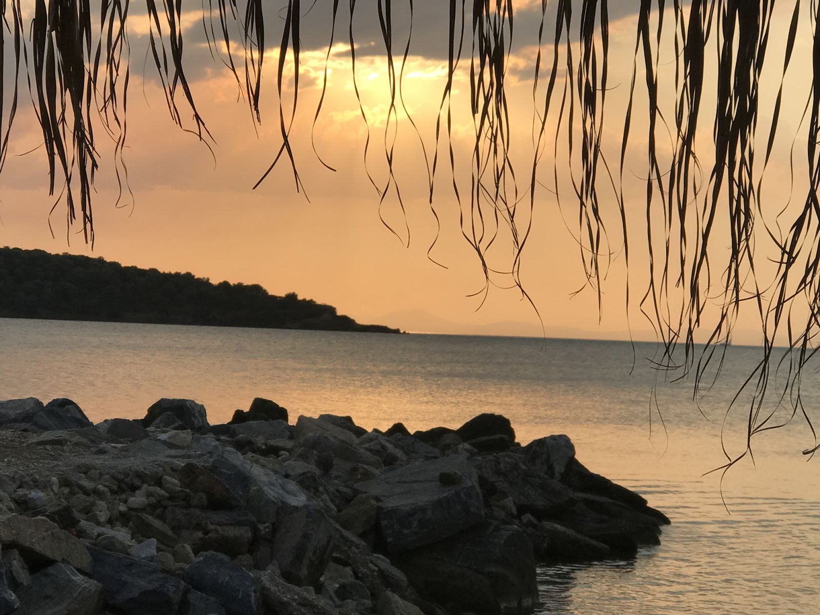 Naiada Milina Studios Pelion