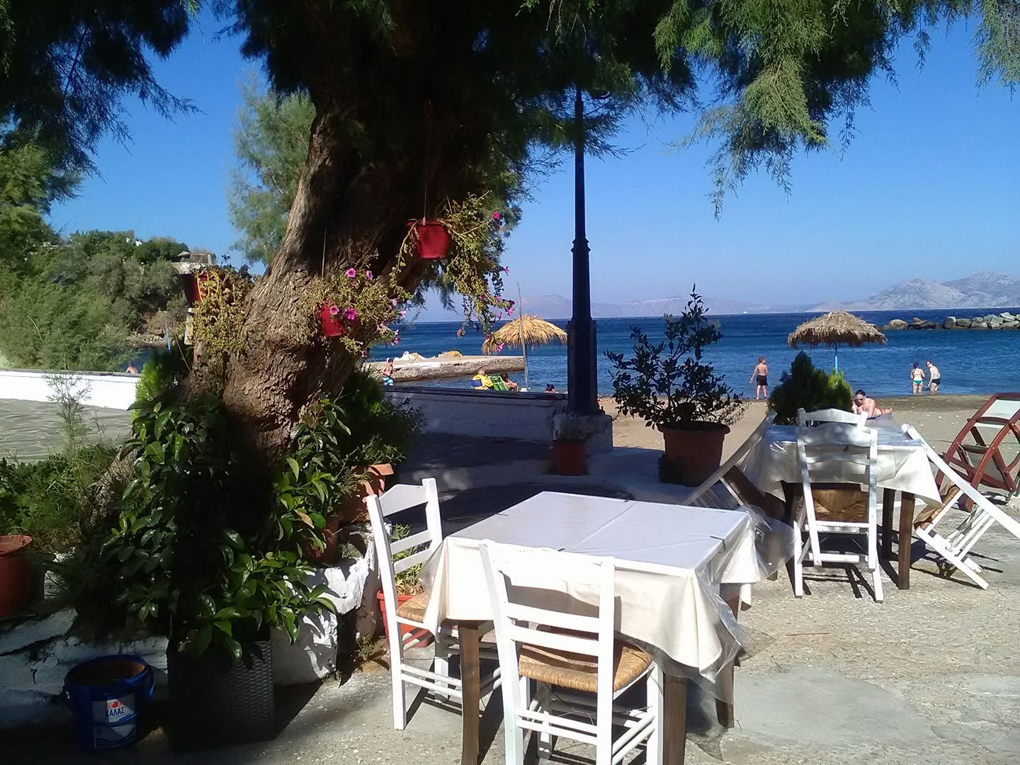 Μελτέμι – Καμίτση Βασιλική