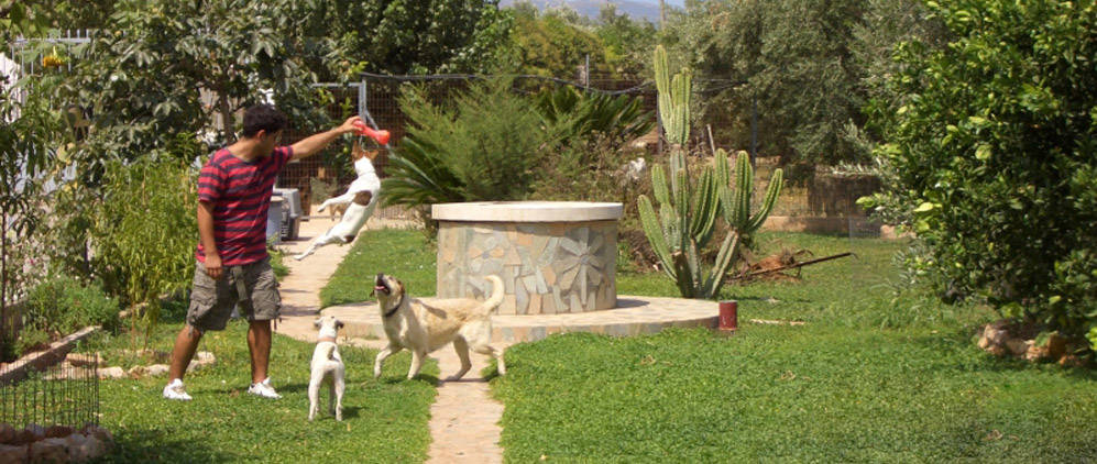 Lazaros Kennel