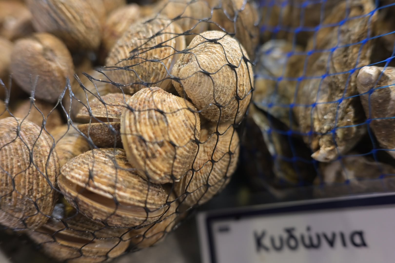Dodekanisos Fish – Πελαρδή Βασιλική Μον. ΕΠΕ